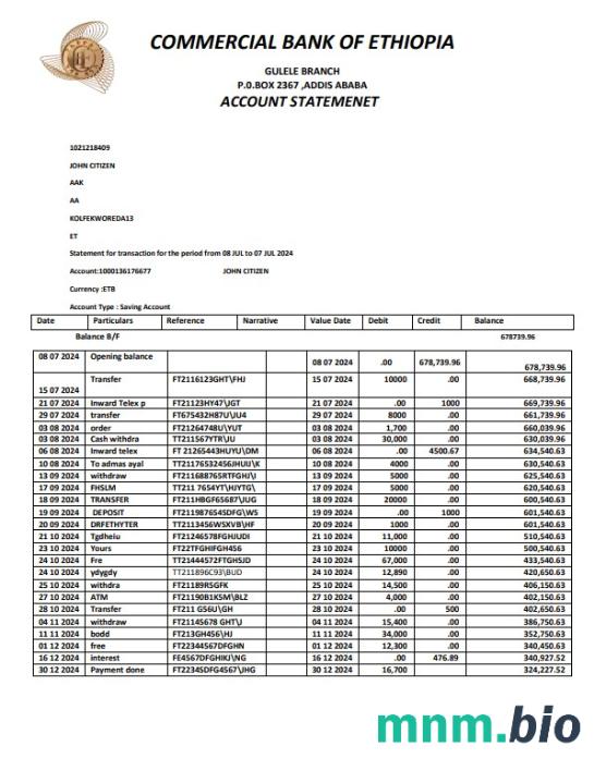 Szablon wyciągu bankowego EGYPT CIB, format Word i PDF